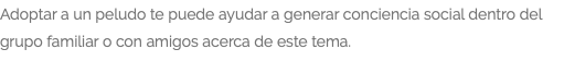 Adoptar a un peludo te puede ayudar a generar conciencia social dentro del grupo familiar o con amigos acerca de este tema.