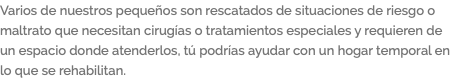 Varios de nuestros pequeños son rescatados de situaciones de riesgo o maltrato que necesitan cirugías o tratamientos especiales y requieren de un espacio donde atenderlos, tú podrías ayudar con un hogar temporal en lo que se rehabilitan.